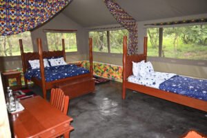 safari lodges