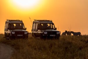 Tanzania Safari Tours