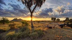 Tanzania Safari Tours