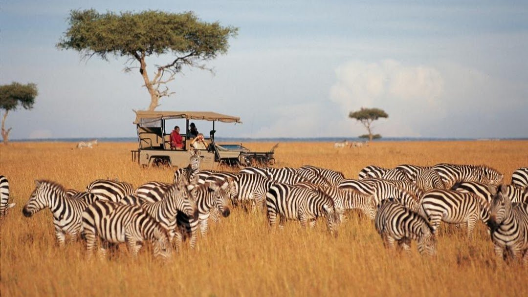 Quality Luxury Safari Kenya