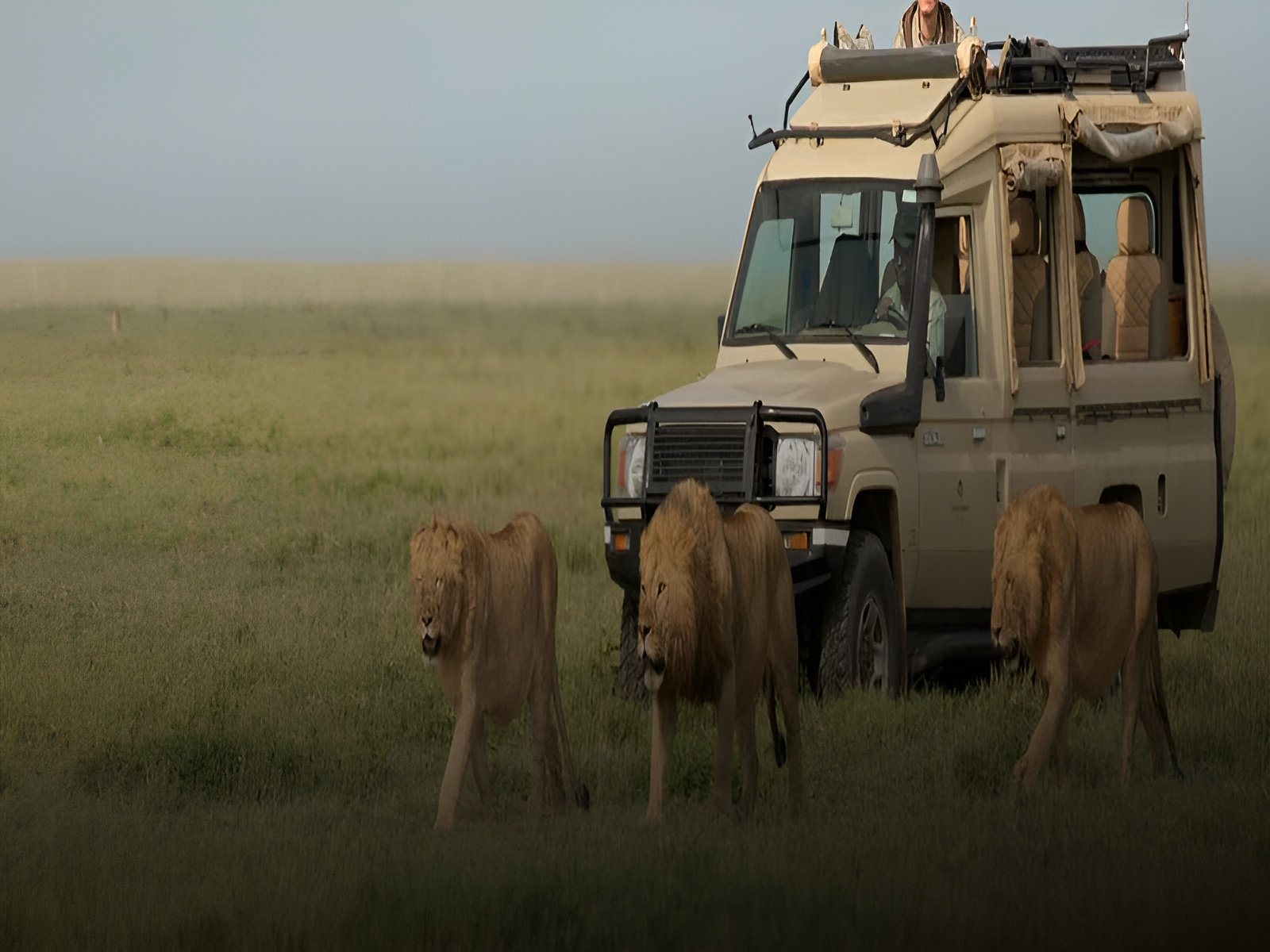 7 days tanzania safari