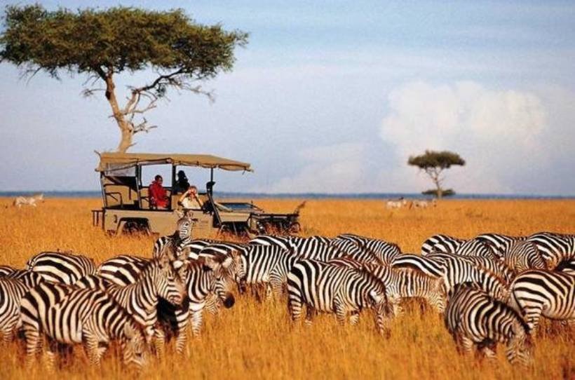 Masai Mara Migration Safari Tour