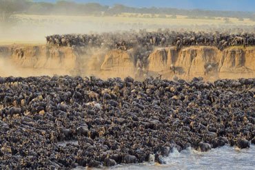 8-days-wildebeest-migration-camping-safari