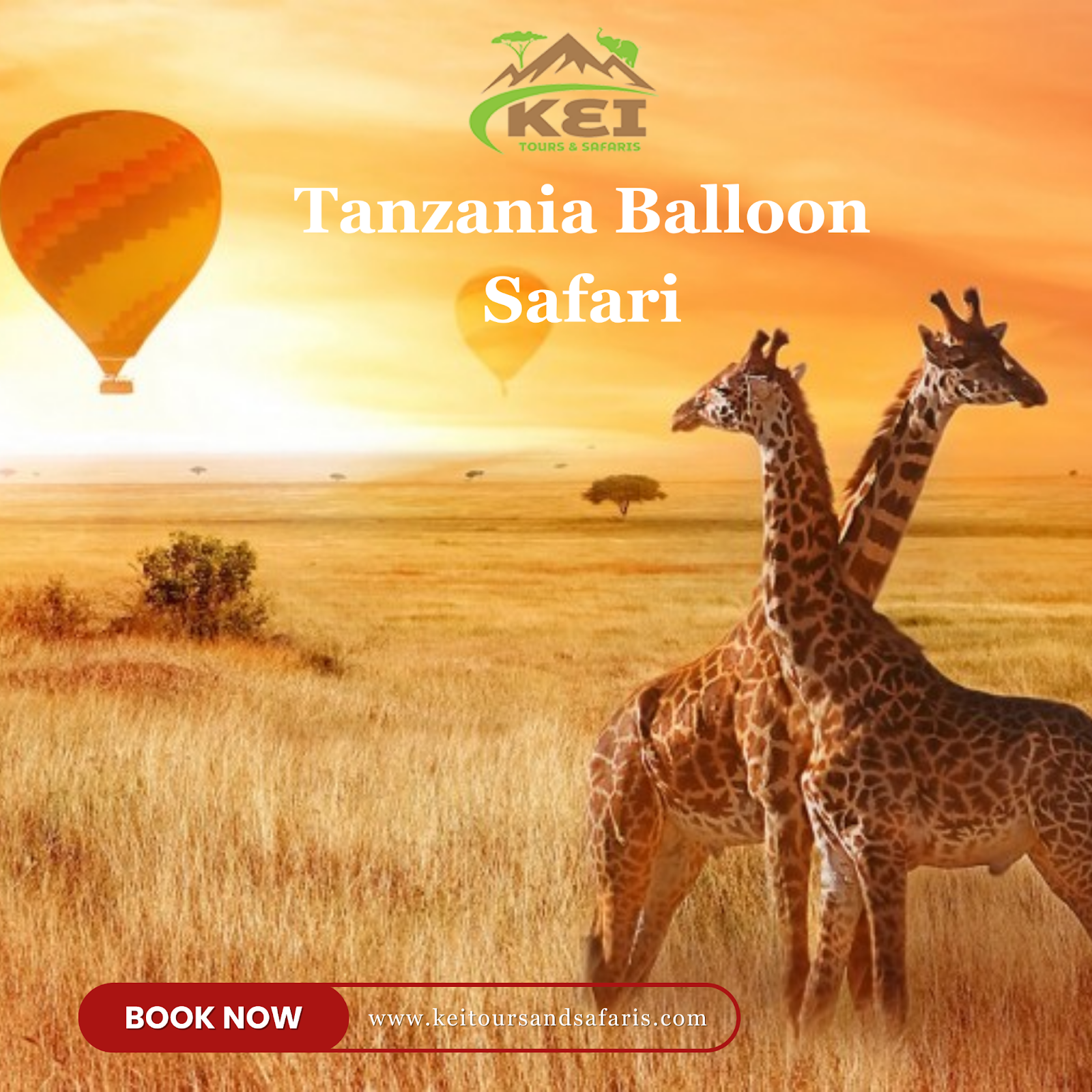Tanzania balloon safari