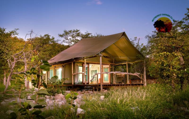 luxury lodges and tented camps