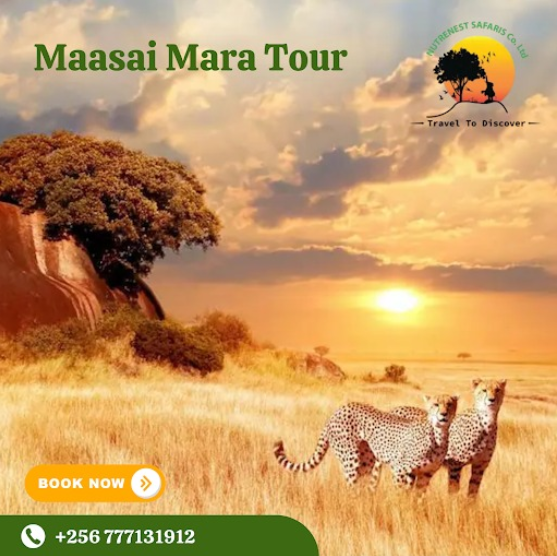 Masai Mara Tour