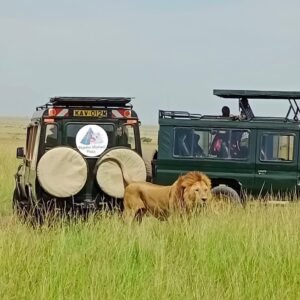 African Safari in Kenya