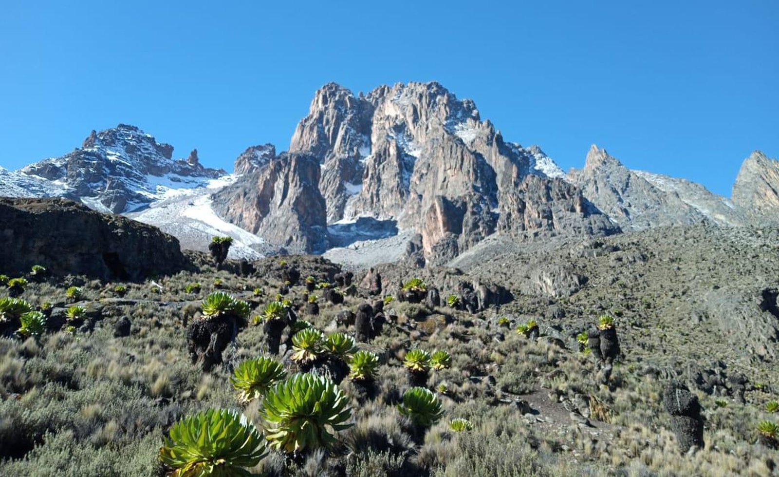 Mountain Trekking Company Kenya