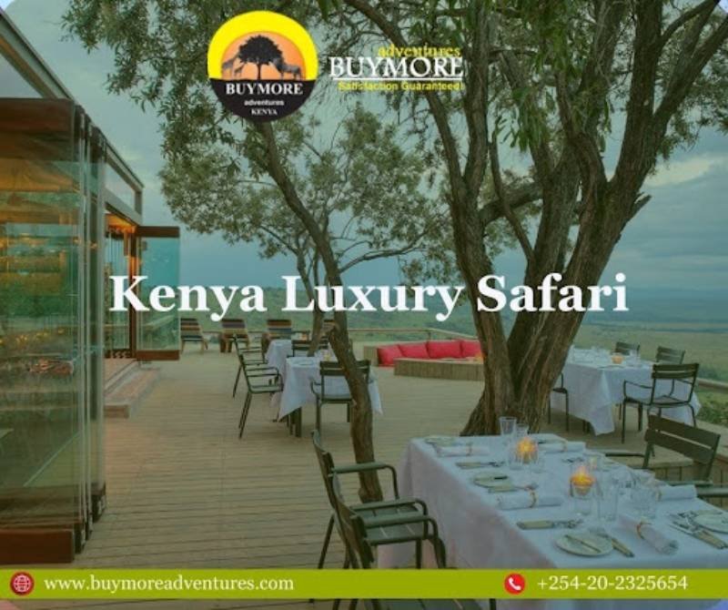 Budget Kenya Lodge Safaris