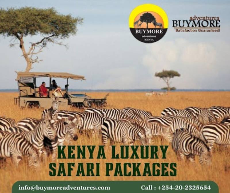 Luxury Safari in Kenya