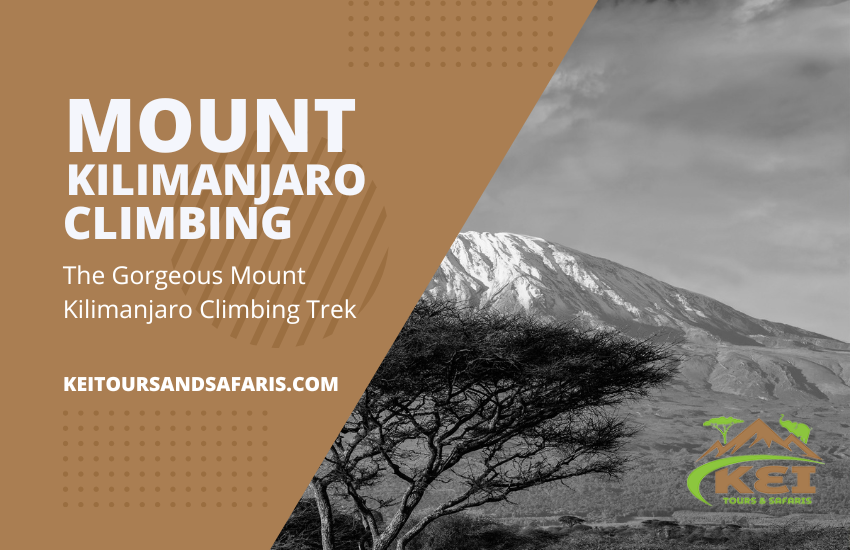 Mount Kilimanjaro Climbing