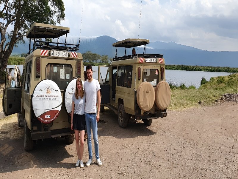 family safari