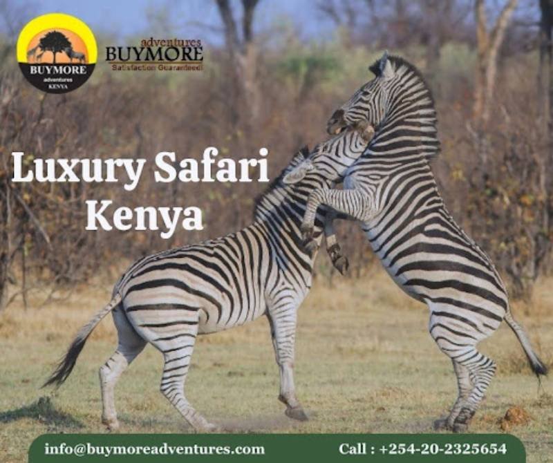 Kenya Luxury Safari