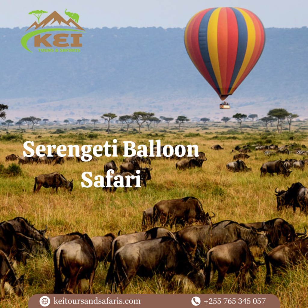 Serengeti National Park safari