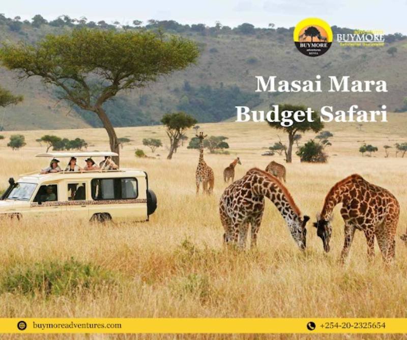 Masai Mara Budget Safari