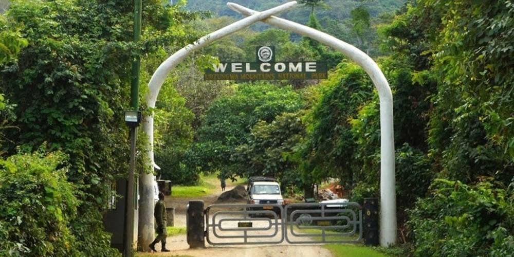 Udzungwa Mountains National Park Tours