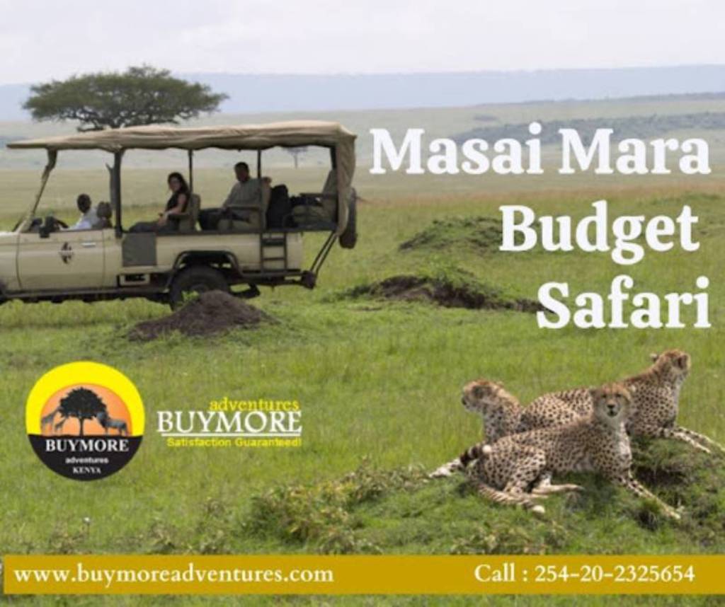 Affordable Masai Mara Budget Safari